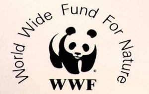 WWF full form