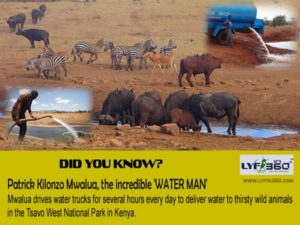 Mwalua drives water trucks for several hours every day to deliver water to thirsty wild animals in the Tsavo West National Park in Kenya