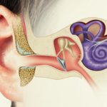 Peripheral Vertigo