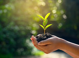 Save Tree